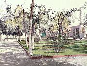 Corner Arrangement 1984